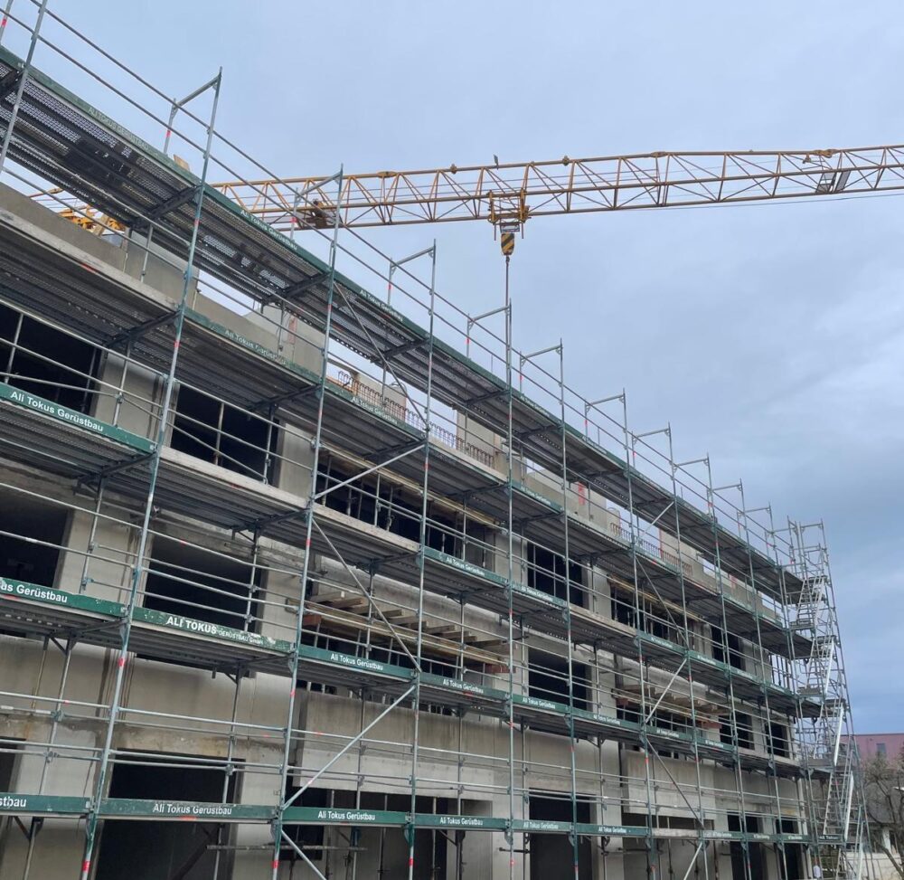 WhatsApp Image 2025-03-28 at 22.12.45